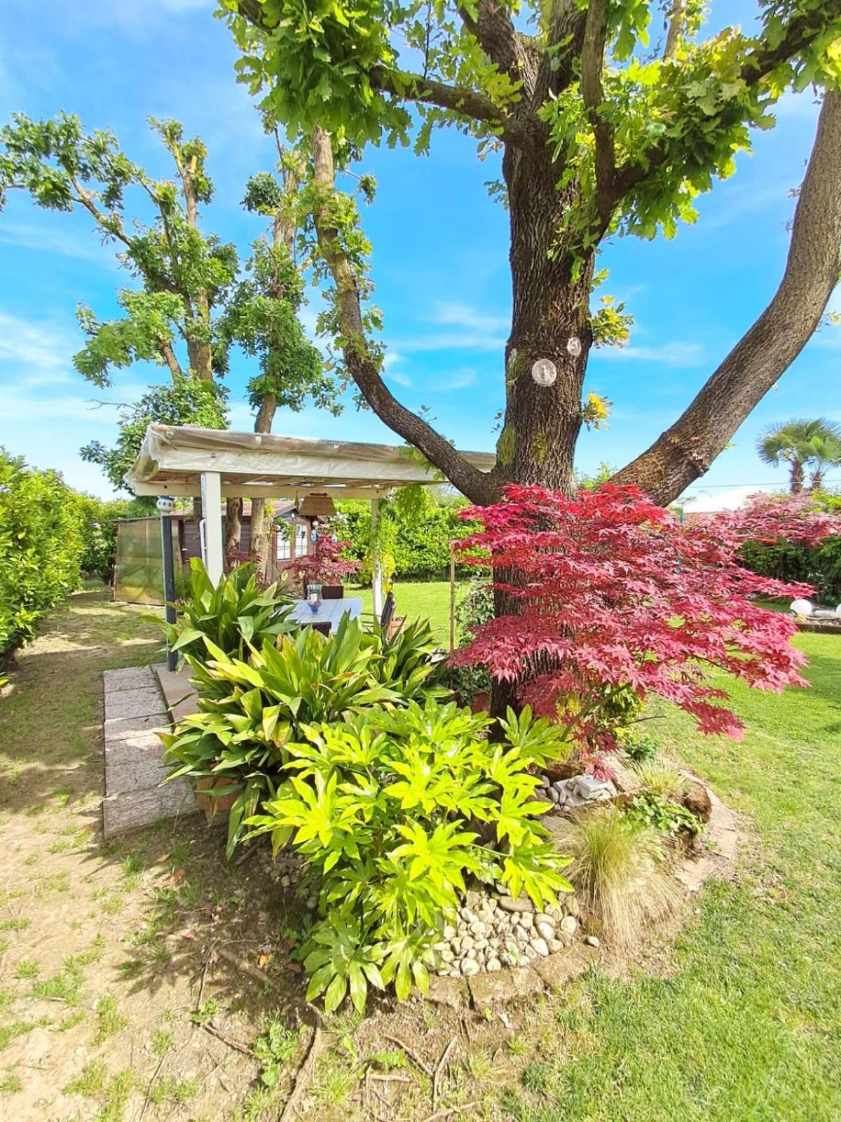 Villa Sabry Turriaco エクステリア 写真